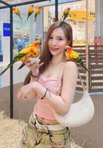 Cream-chabodee-สดใส Cream-chabodee-สดใส